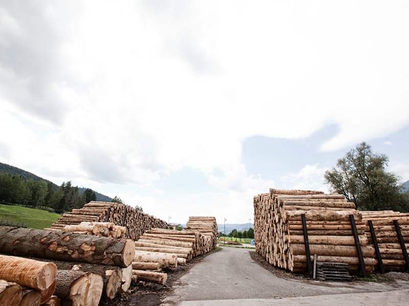 Varesco Legno a Tesero, in Valle di Fiemme | AZIENDA